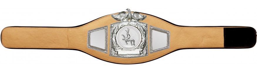 PROEAGLE WRESTLING CHAMPIONSHIP BELT - PROEAGLE/S/WRESTS - AVAILABLE IN 6+ COLOURS